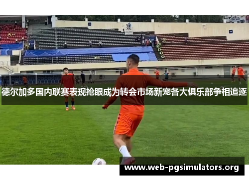 德尔加多国内联赛表现抢眼成为转会市场新宠各大俱乐部争相追逐 德尔加多国内联赛表现抢眼成为转会市场新宠各大俱乐部争相追逐