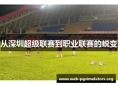 从深圳超级联赛到职业联赛的蜕变 从深圳超级联赛到职业联赛的蜕变