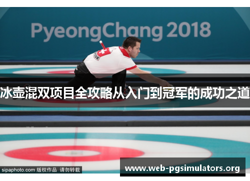 冰壶混双项目全攻略从入门到冠军的成功之道 冰壶混双项目全攻略从入门到冠军的成功之道