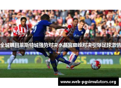 全城瞩目莱斯特城强势对决水晶宫巅峰对决引爆足球激情 全城瞩目莱斯特城强势对决水晶宫巅峰对决引爆足球激情