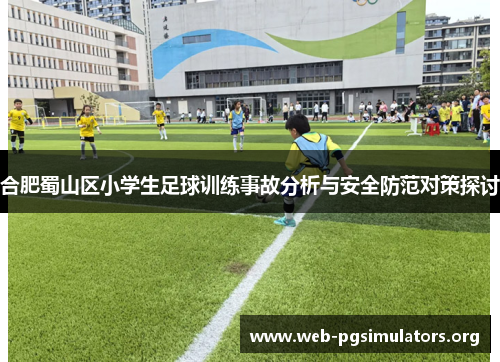 合肥蜀山区小学生足球训练事故分析与安全防范对策探讨 合肥蜀山区小学生足球训练事故分析与安全防范对策探讨