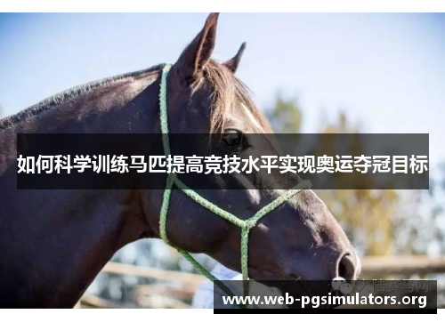 如何科学训练马匹提高竞技水平实现奥运夺冠目标