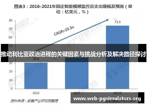 推动利比亚政治进程的关键因素与挑战分析及解决路径探讨 推动利比亚政治进程的关键因素与挑战分析及解决路径探讨
