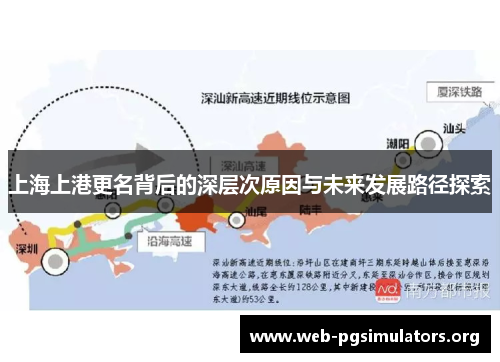 上海上港更名背后的深层次原因与未来发展路径探索