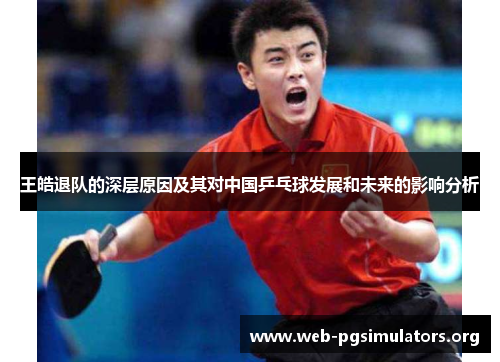 王皓退队的深层原因及其对中国乒乓球发展和未来的影响分析 王皓退队的深层原因及其对中国乒乓球发展和未来的影响分析