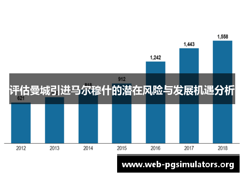 评估曼城引进马尔穆什的潜在风险与发展机遇分析 评估曼城引进马尔穆什的潜在风险与发展机遇分析